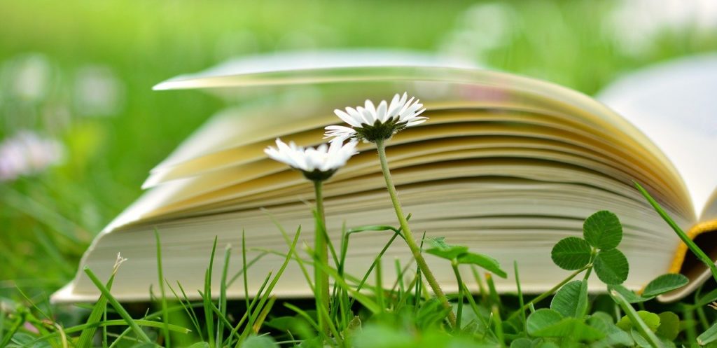 Book 2304389 1280 1024x497